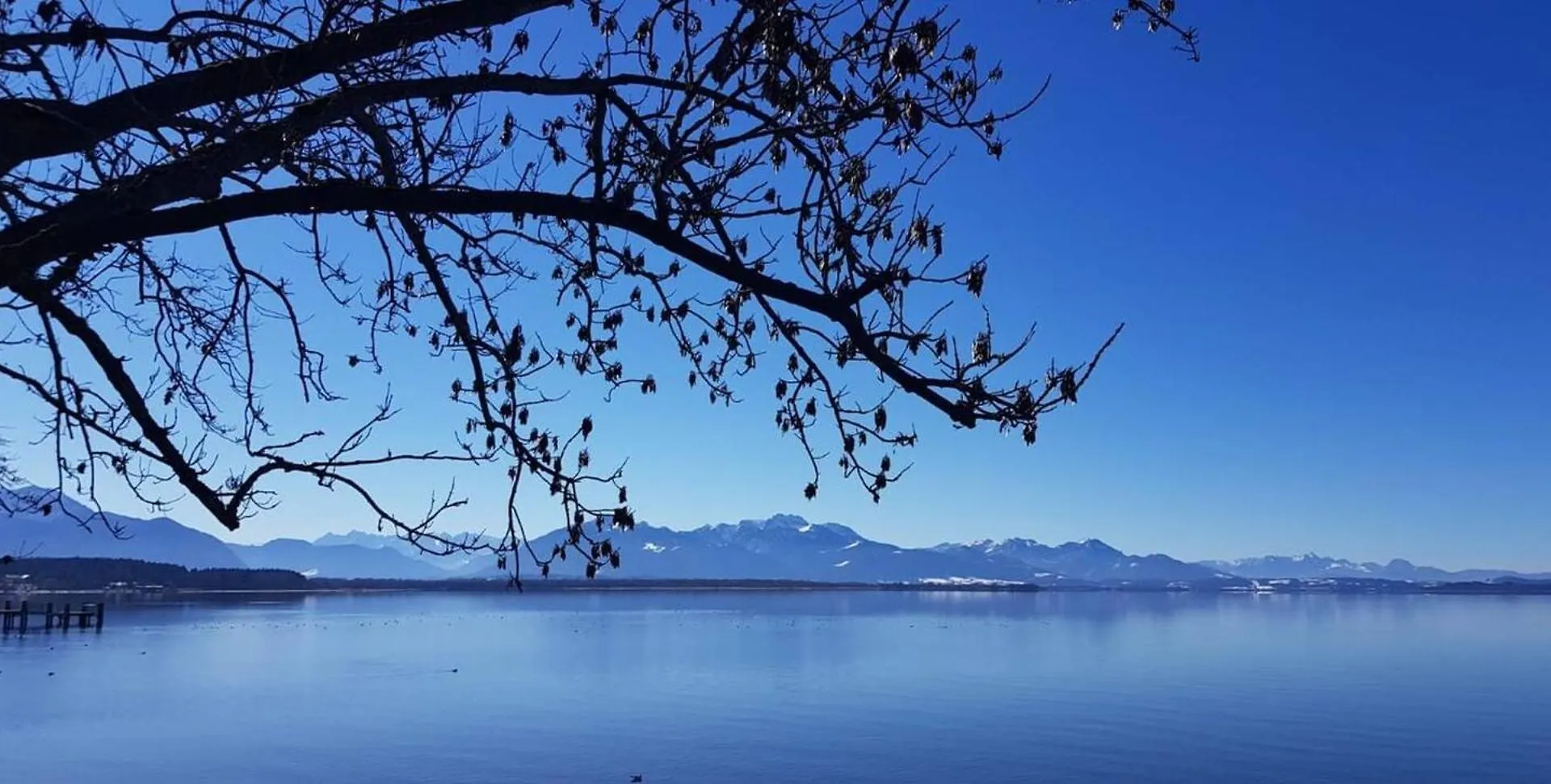 Freistehendes Haus-Wenige Minuten Zum Waginger See Waging am See